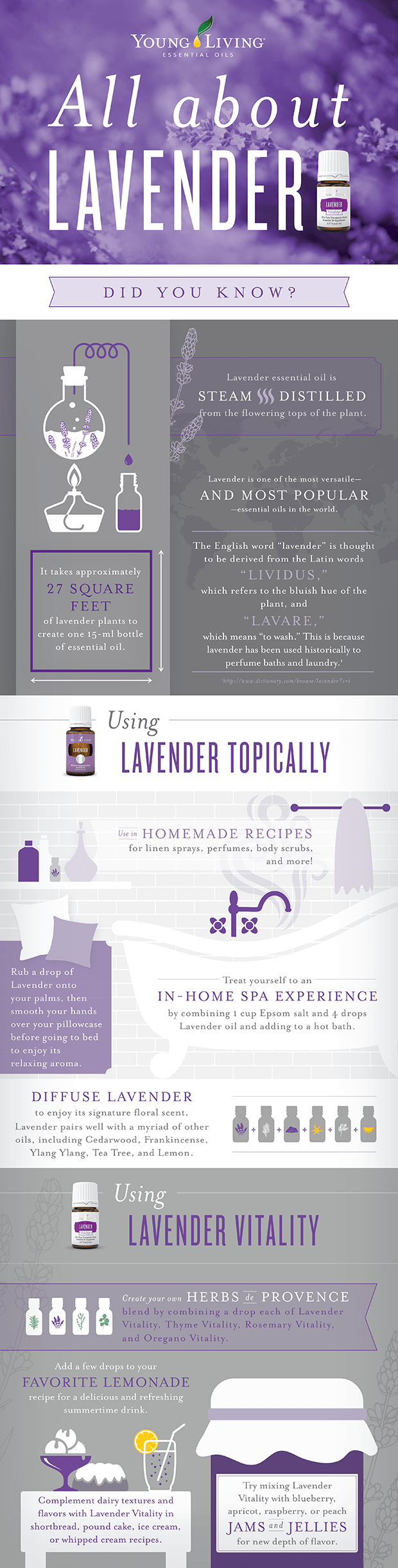 All-about-lavender-infographic_V2-01